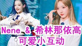 救援贪玩的大象